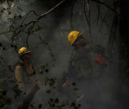 CAL FIRE.jpeg